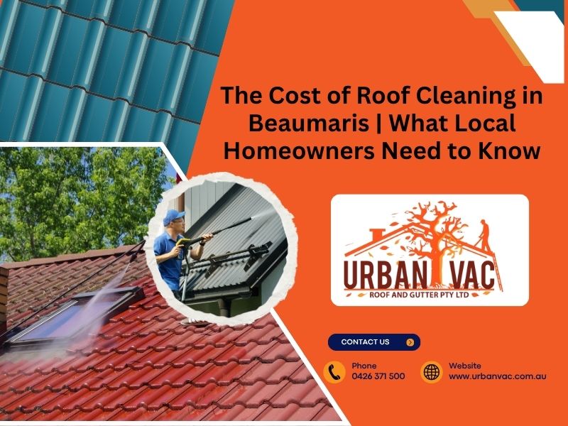 Roof Cleaning in Beaumaris