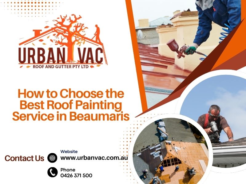 Roof painting in Beaumaris