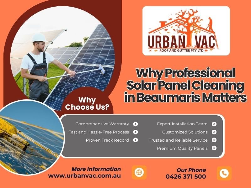 Solar Panel Cleaning in Beaumaris